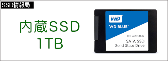 内蔵SSD1TB